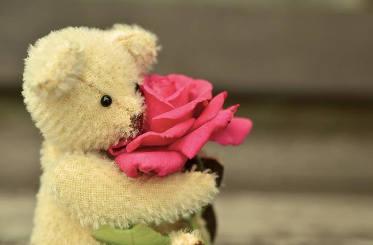 Valentines Day 2016 Images